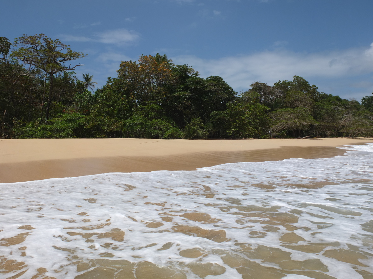 照片 巴拿马(Panama) 巴斯蒂门托斯岛(Bastimentos) 2015-03 69