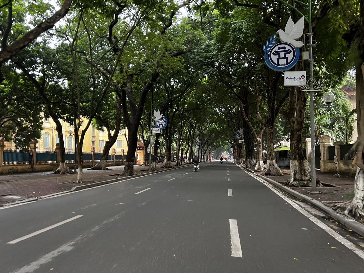 照片 越南(Vietnam) 河内(Hanoi) 2024-01 25