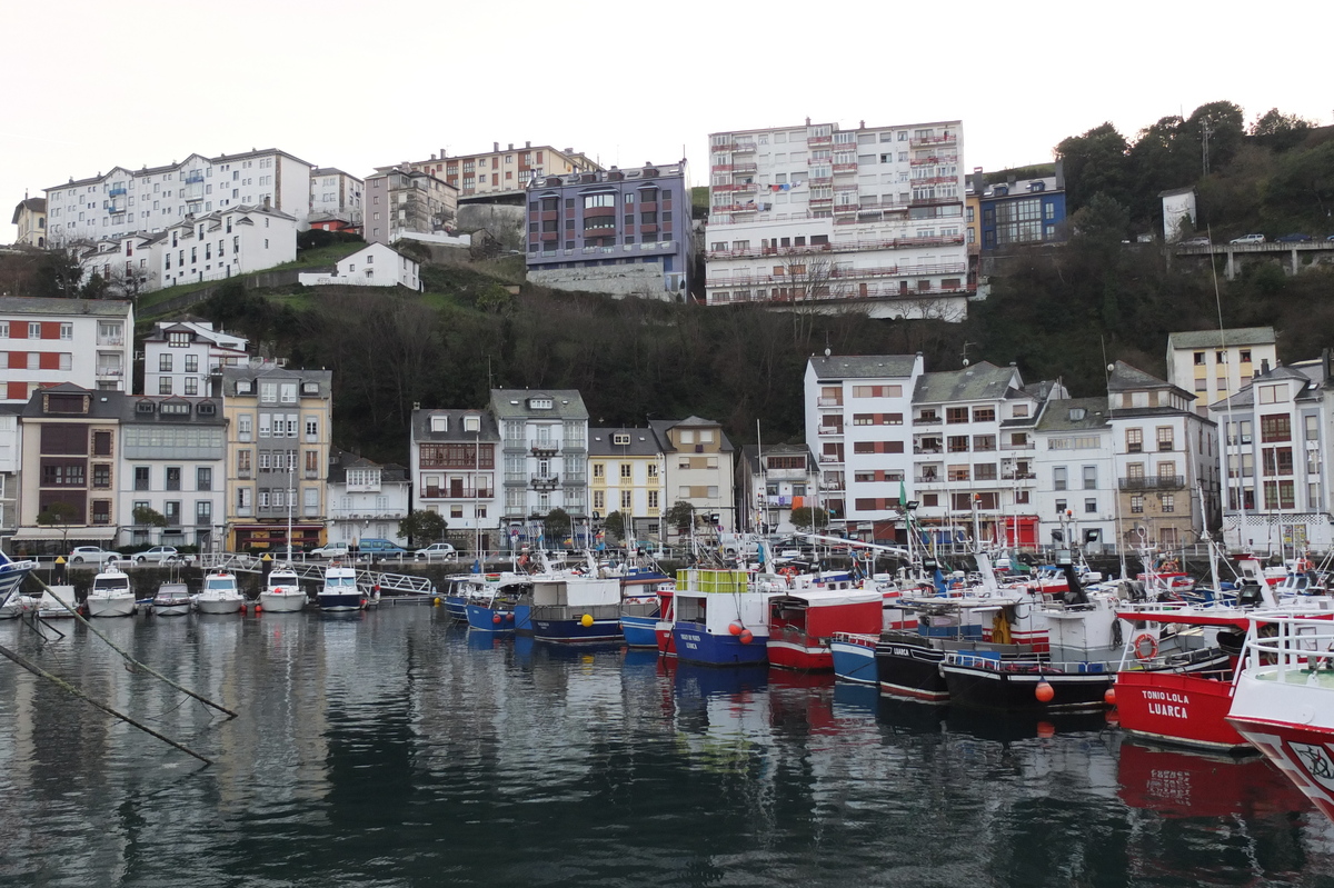 照片 西班牙(Spain) 卢阿尔卡(Luarca) 2013-01 23