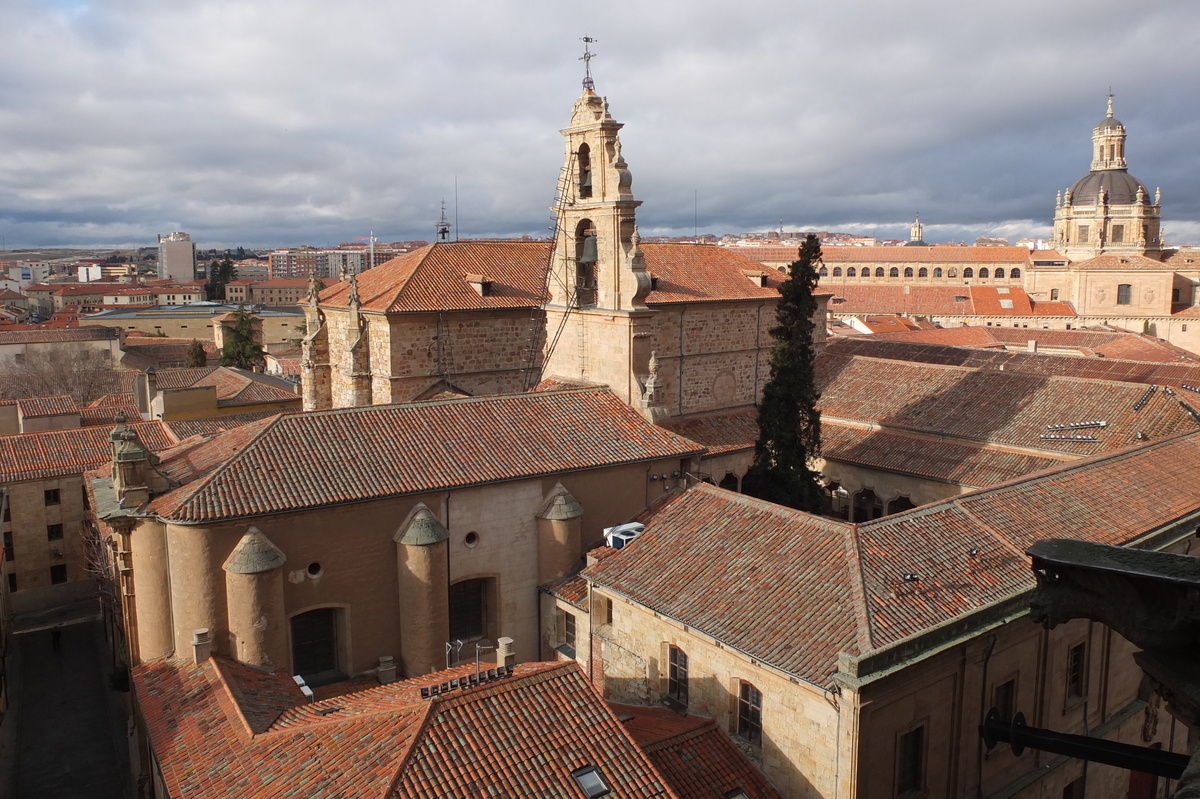 照片 西班牙(Spain) 萨拉曼卡(Salamanca) 2013-01 164