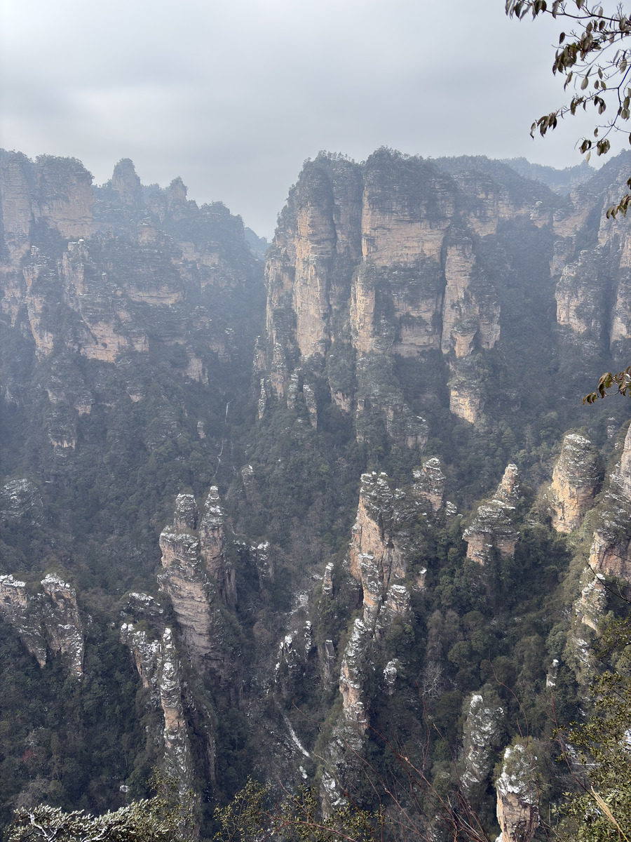 照片 中国(China) 张家界(Zhangjiajie) 2026-01 20