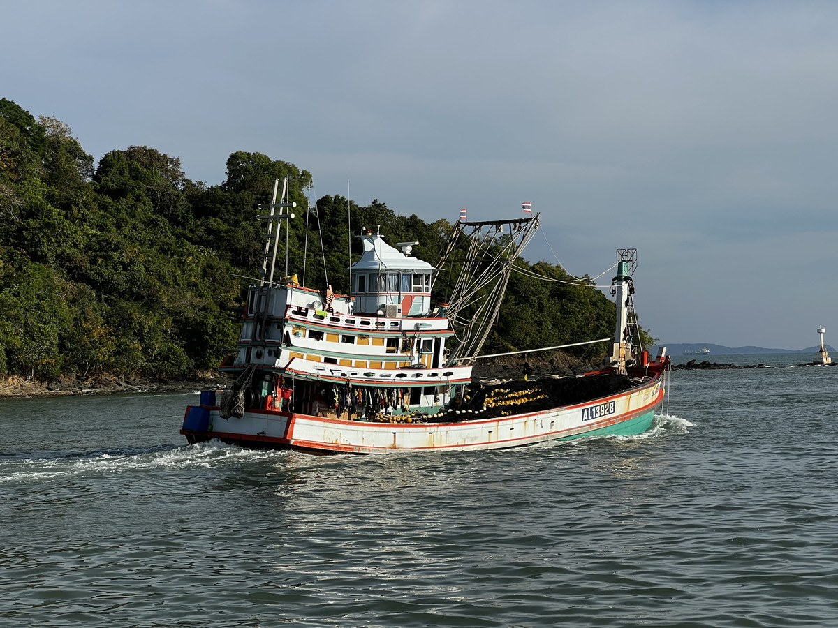 照片 泰国(Thailand) 皮皮岛至普吉岛渡轮(Ko Phi Phi to Phuket Ferry) 2021-12 17