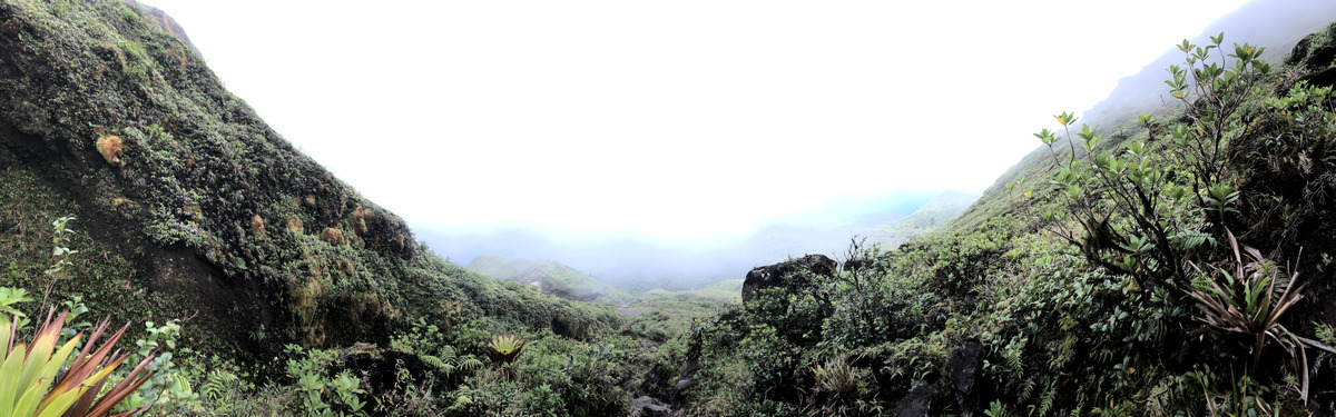 照片 瓜德罗普(Guadeloupe) 大苏弗里耶尔火山(La Grande Soufriere) 2021-02 67