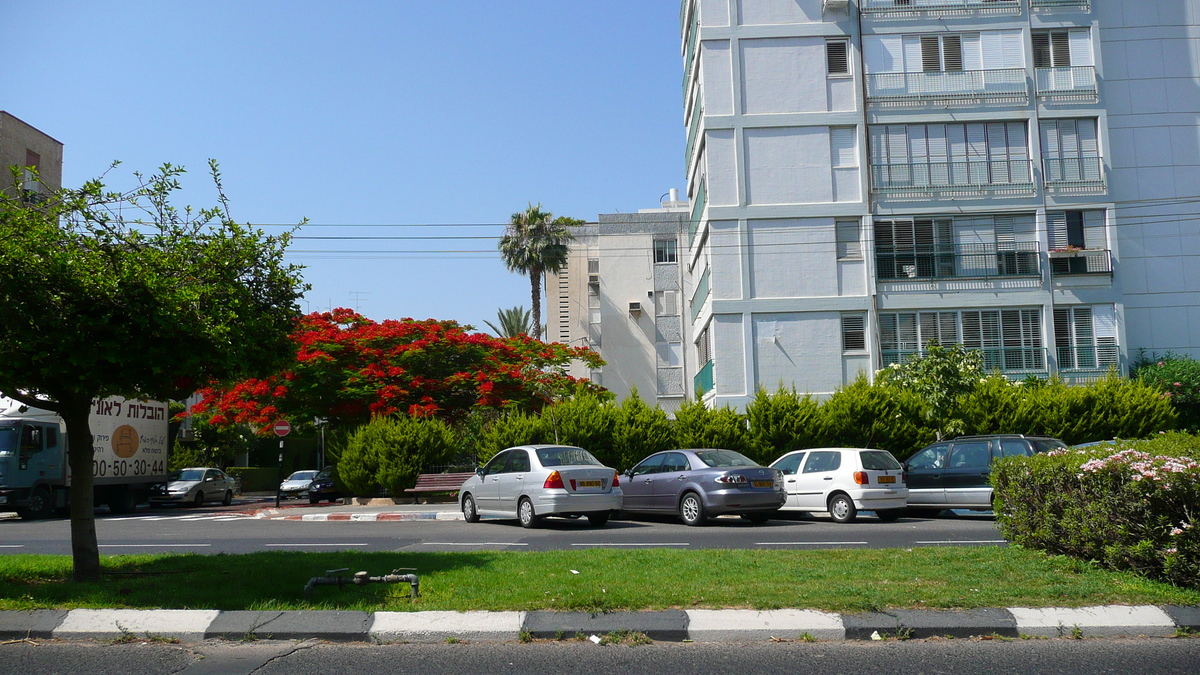 照片 以色列(Israel) 特拉维夫(Tel Aviv) 亚博廷斯基街(Jabotinsky Street) 2007-06 24