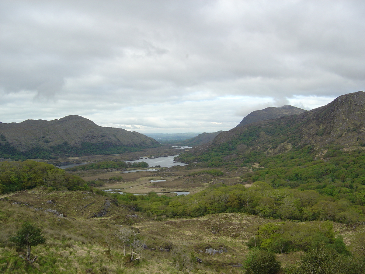 照片 爱尔兰(Ireland) 凯里郡(Kerry) 基拉尼国家公园(Killarney National Park) 2004-05 47