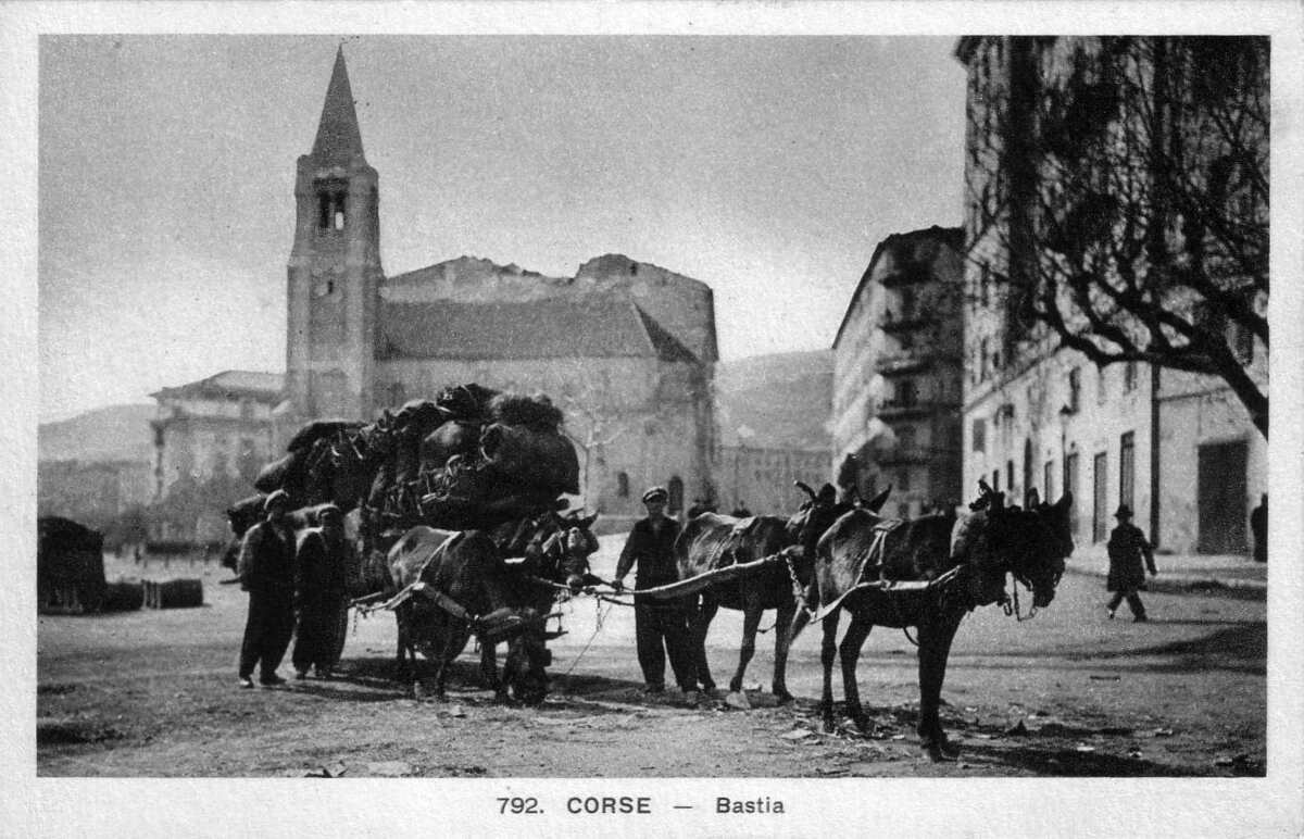 照片 法国(France) 科西嘉岛(Corsica) 老明信片(Old Postcards) 巴斯蒂亚(Bastia) 1900-01 105