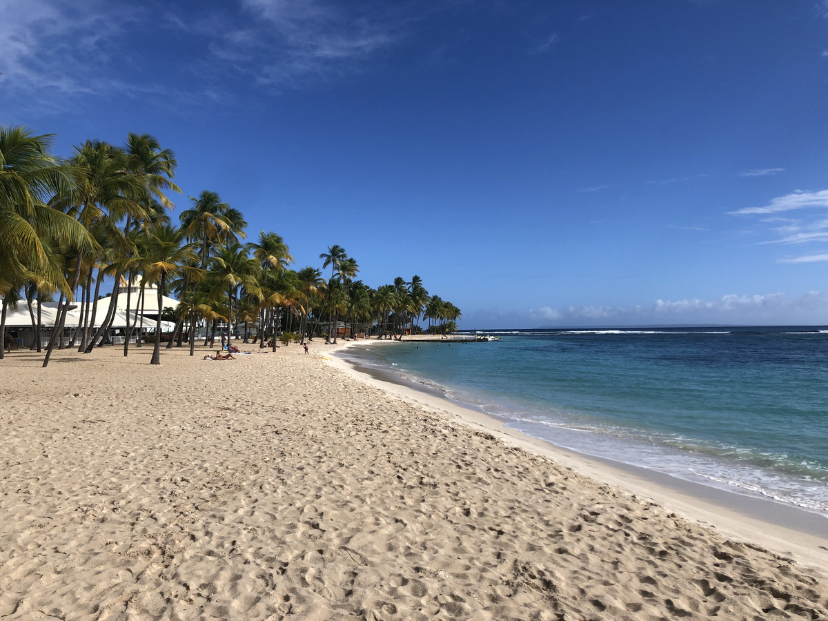 照片 瓜德罗普(Guadeloupe) 卡拉维尔海滩(La Caravelle Beach) 2021-02 30