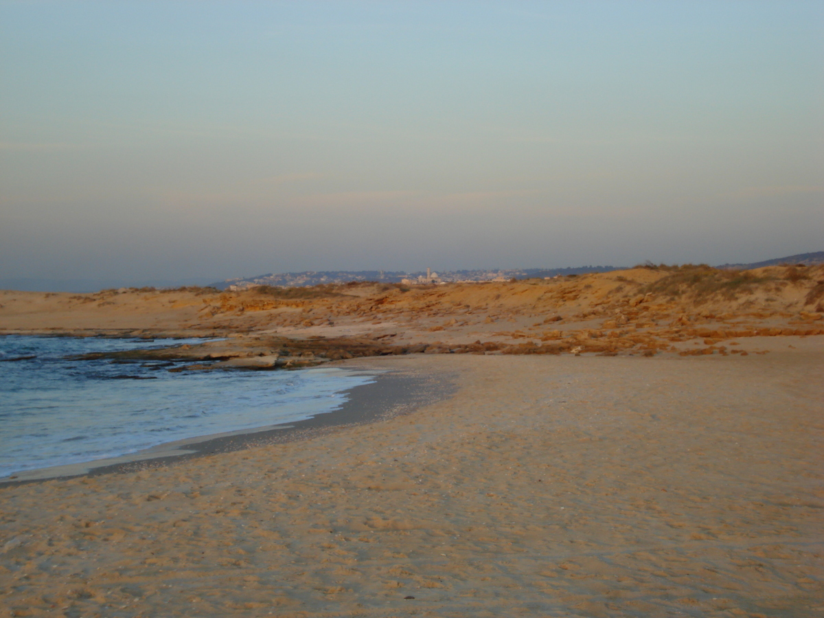 照片 以色列(Israel) 海法至特拉维夫(From Haifa to Tel Aviv) 2006-12 76