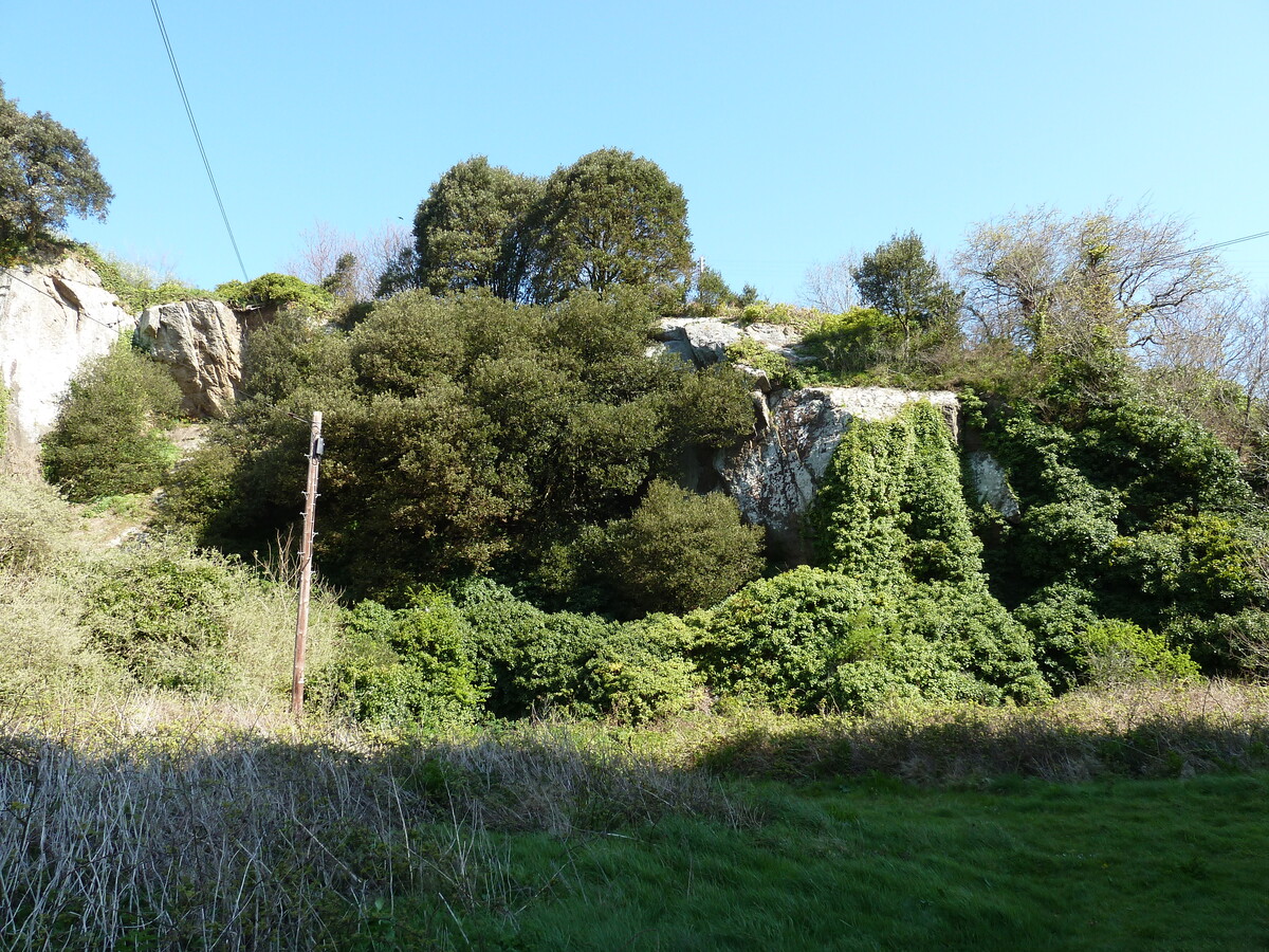 照片 泽西岛(Jersey) 2010-04 143