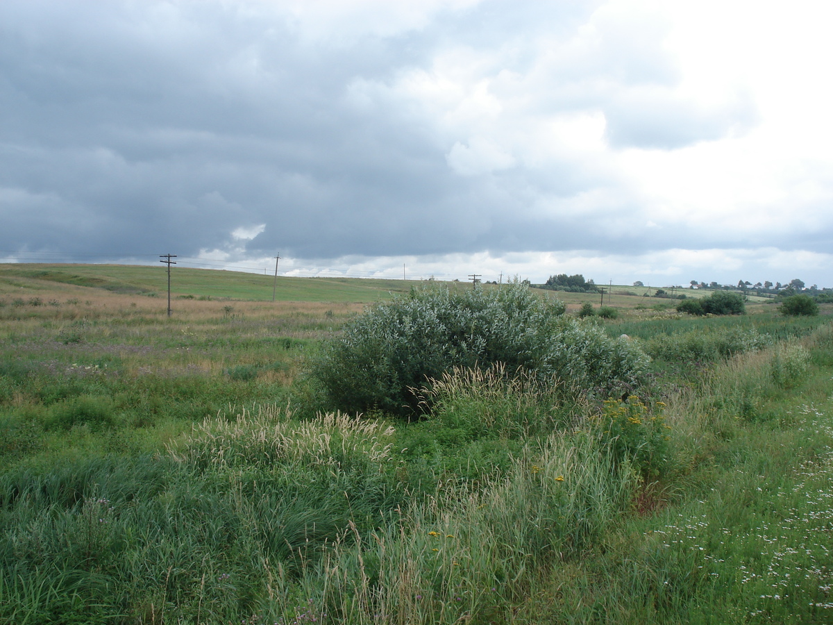 照片 俄罗斯(Russia) 雅罗斯拉夫尔至圣彼得堡(From Yaroslavl to St Petersburg) 2006-07 44