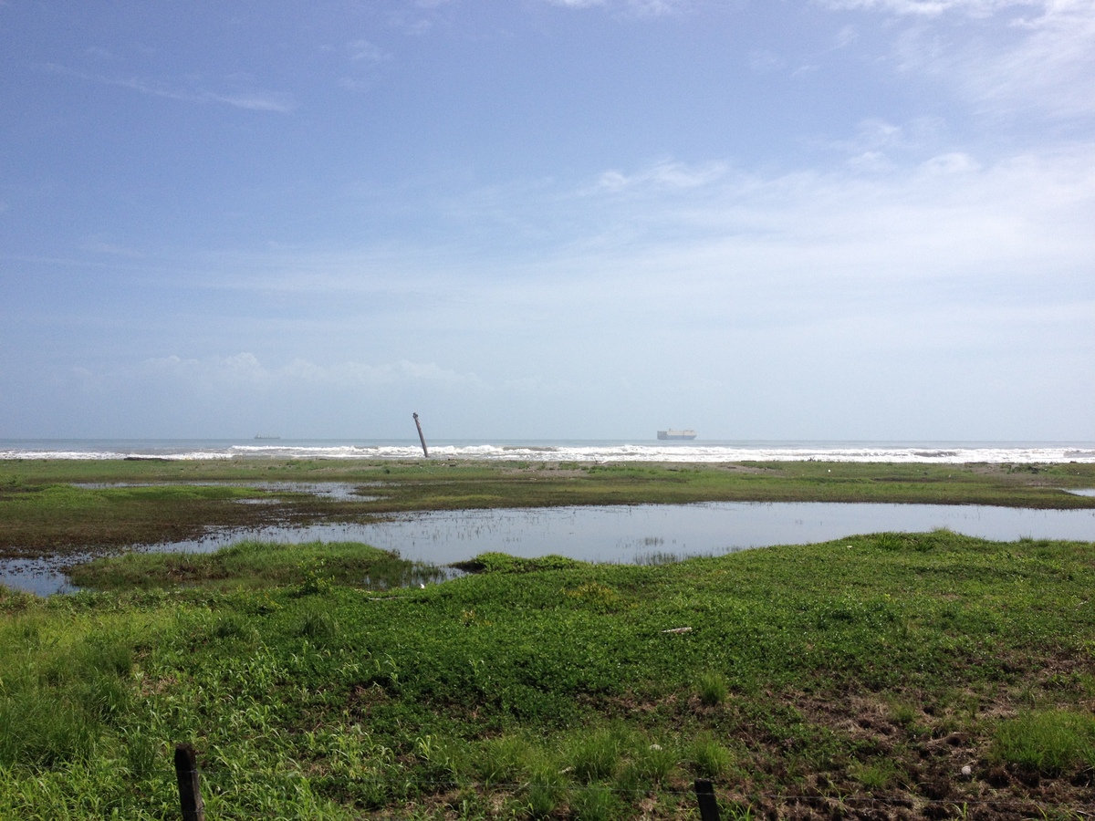 照片 哥斯达黎加(Costa Rica) 利蒙至锡基雷斯(Limon to Siquirres) 2015-03 20