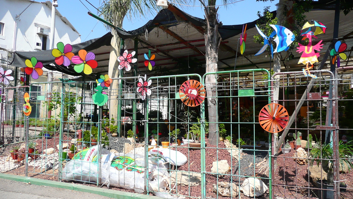 照片 以色列(Israel) 特拉维夫(Tel Aviv) 伊本·加比罗尔街(Ibn Gvirol Street) 2007-06 0