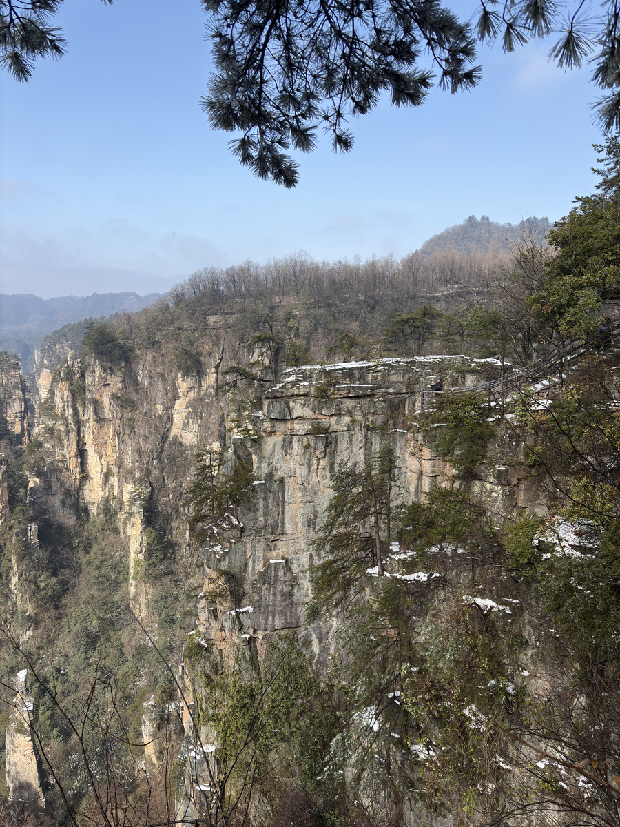 照片 中国(China) 张家界(Zhangjiajie) 天子山(Tianzi Mountain) 2026-01 349