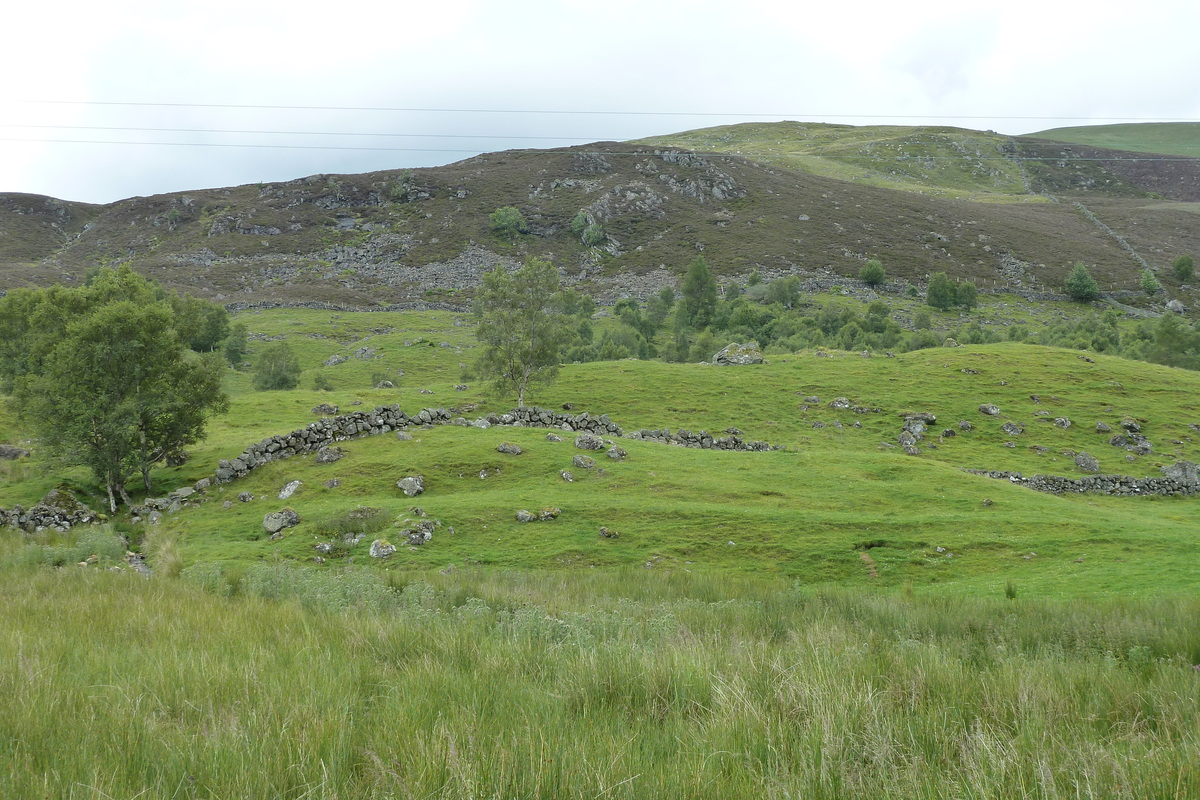 照片 英国(United Kingdom) 凯恩戈姆山国家公园(Cairngorms National Park) 2011-07 46