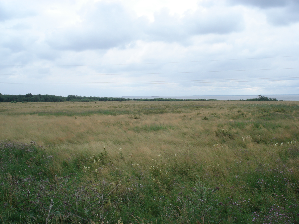 照片 俄罗斯(Russia) 雅罗斯拉夫尔至圣彼得堡(From Yaroslavl to St Petersburg) 2006-07 32