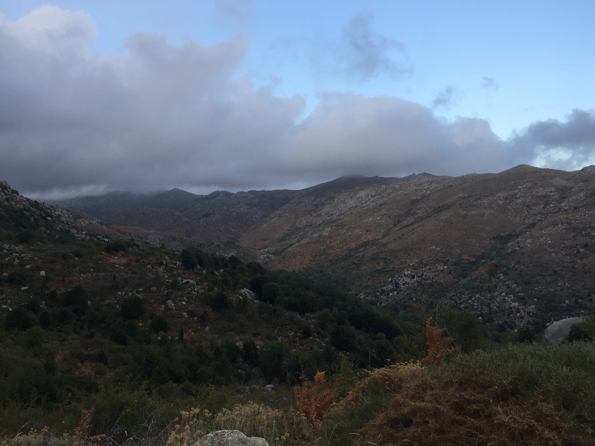 照片 法国(France) 科西嘉岛(Corsica) 阿尔塔罗卡(Alta Rocca) 2017-09 27