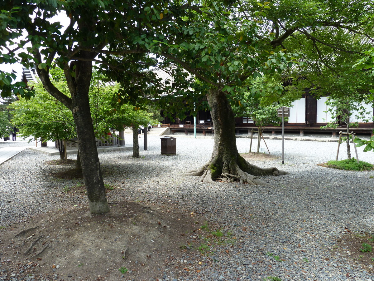 照片 日本(Japan) 京都(Kyoto) 三十三间堂(Sanjusangendo temple) 2010-06 36