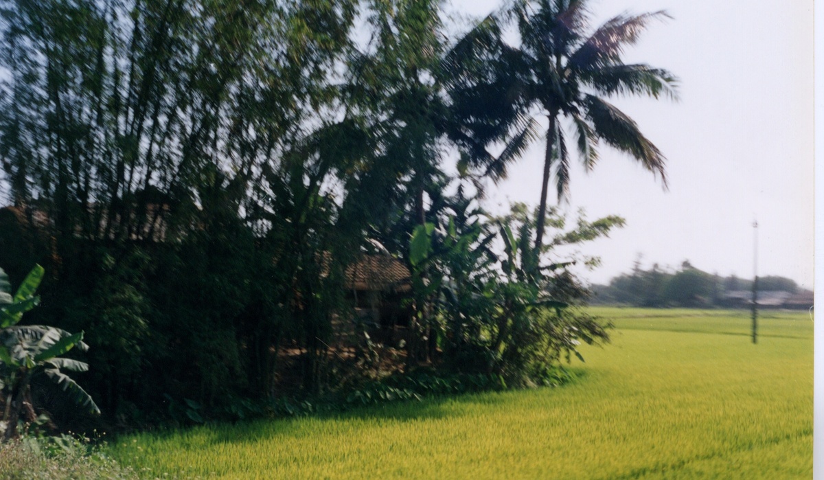 照片 越南(Vietnam) 1996-03 66