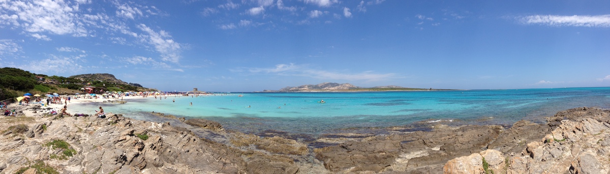 照片 意大利(Italy) 撒丁岛(Sardinia) 猎鹰角(Capo del Falcone) 2015-06 26