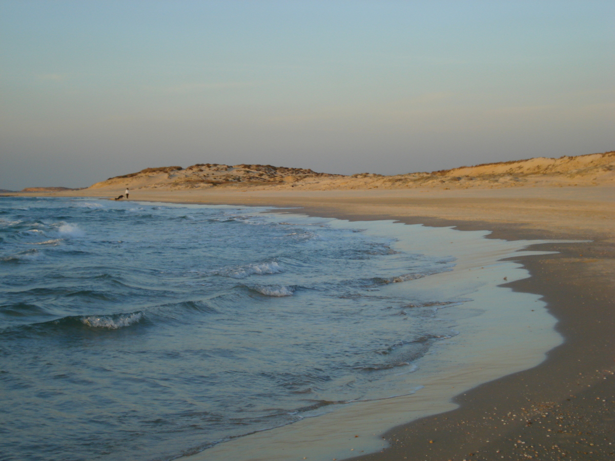 照片 以色列(Israel) 海法至特拉维夫(From Haifa to Tel Aviv) 2006-12 94