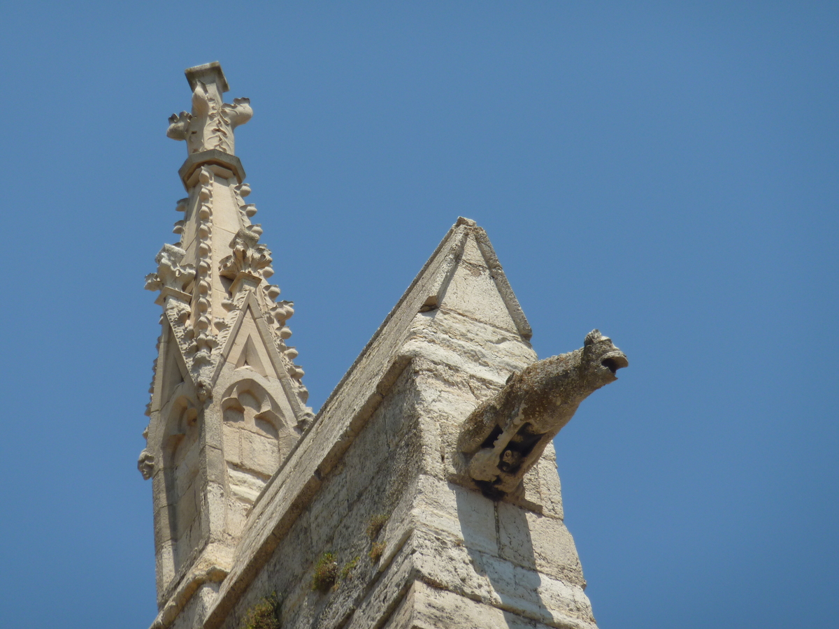照片 法国(France) 纳博讷(Narbonne) 2009-07 106