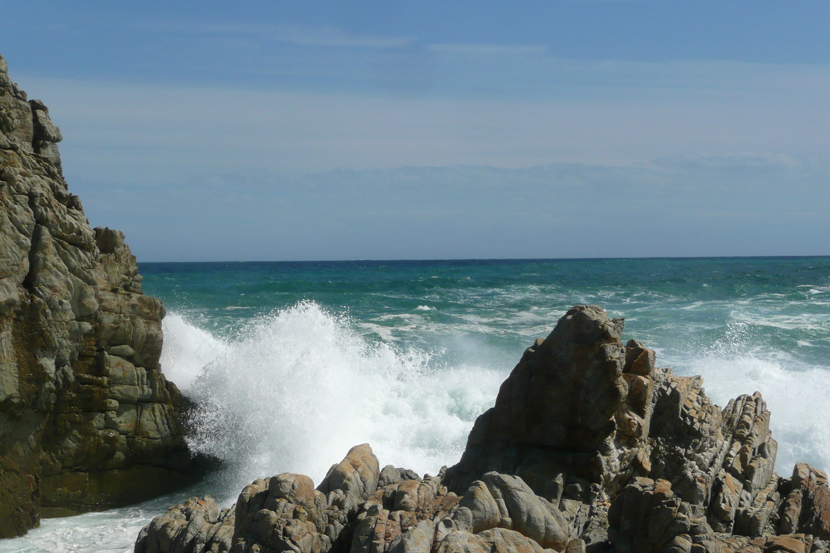 照片 南非(South Africa) 齐齐卡马国家公园(Tsitsikamma National Park) 2008-09 207
