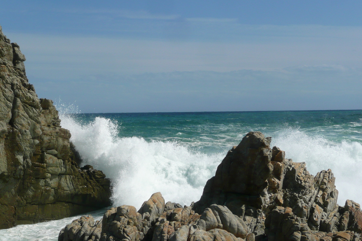 照片 南非(South Africa) 齐齐卡马国家公园(Tsitsikamma National Park) 2008-09 188