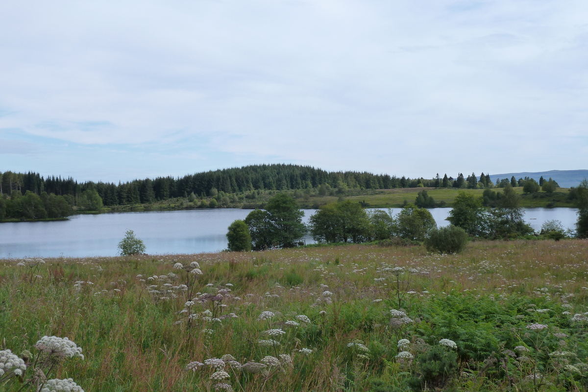 照片 英国(United Kingdom) 特罗萨克斯(The Trossachs) 2011-07 127
