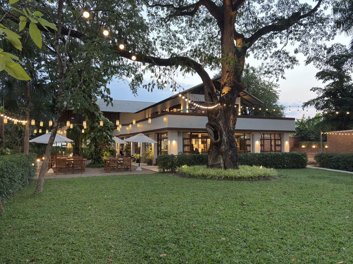 照片 泰国(Thailand) 清迈(Chiang Mai) 2024-12 145