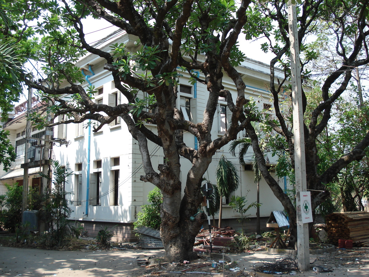 照片 泰国(Thailand) 清迈(Chiang Mai) 护城河内(Inside Canal) 2006-04 17
