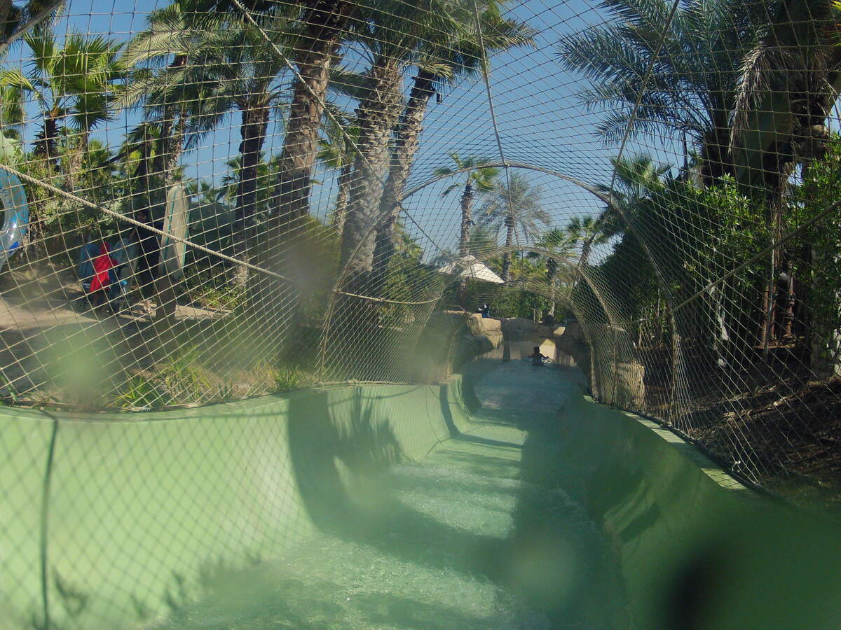 照片 阿联酋(United Arab Emirates) 迪拜(Dubai) 迪拜水世界(Dubai Aquaventure) 2012-01 39