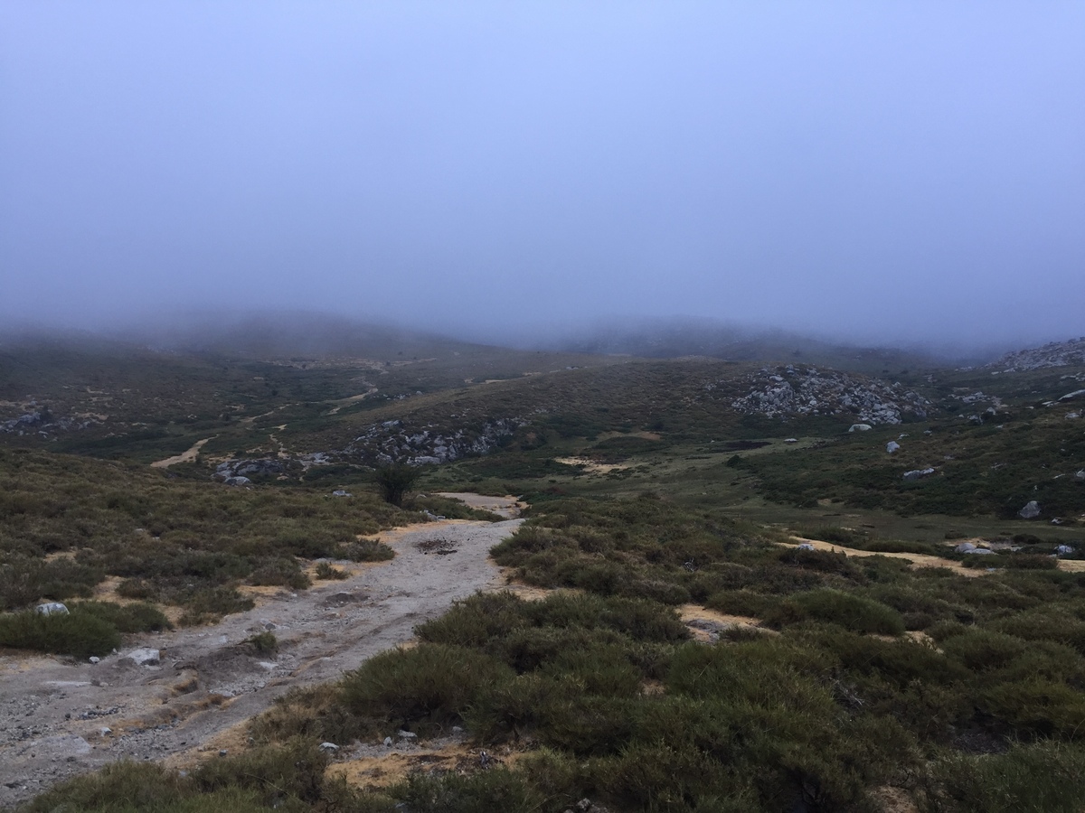 照片 法国(France) 科西嘉岛(Corsica) 阿尔塔罗卡(Alta Rocca) 2017-09 7