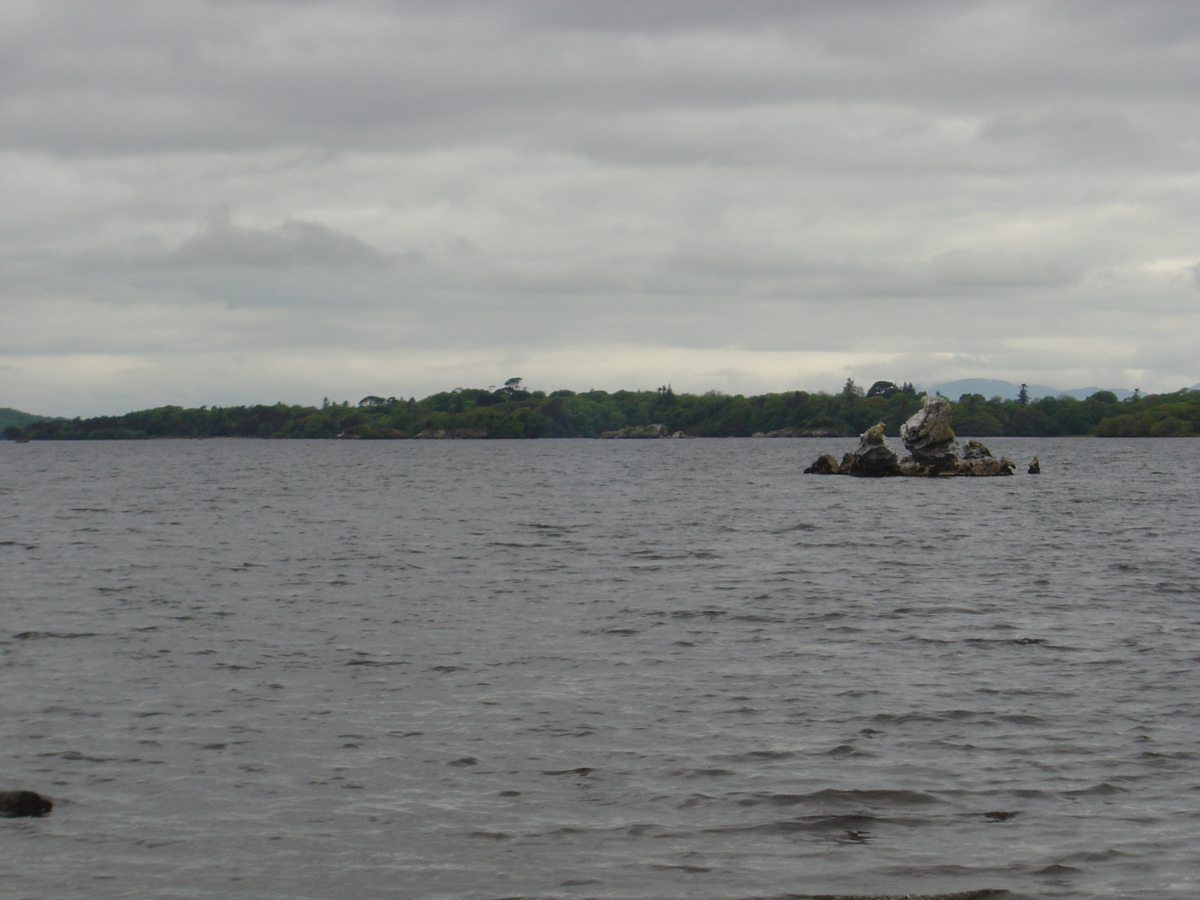 照片 爱尔兰(Ireland) 凯里郡(Kerry) 基拉尼国家公园(Killarney National Park) 马克罗斯湖(Muckross Lake) 2004-05 16