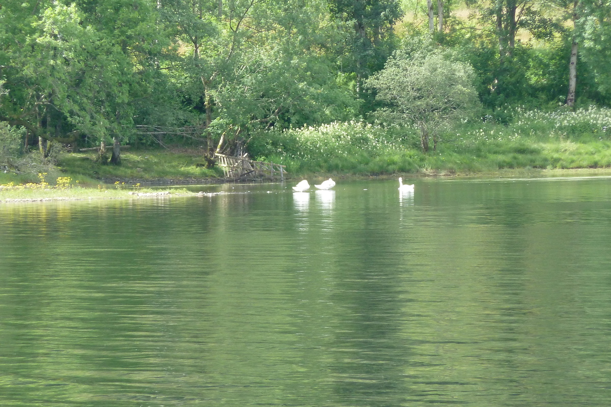 照片 英国(United Kingdom) 特罗萨克斯(The Trossachs) 2011-07 100