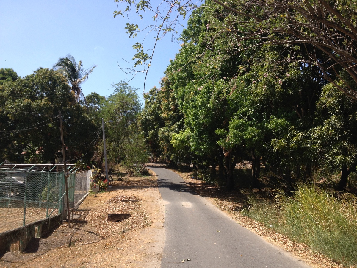照片 巴拿马(Panama) 圣卡洛斯(San Carlos) 2015-03 40