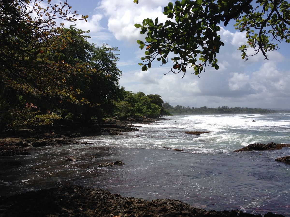 照片 哥斯达黎加(Costa Rica) 卡维塔(Cahuita) 2015-03 22