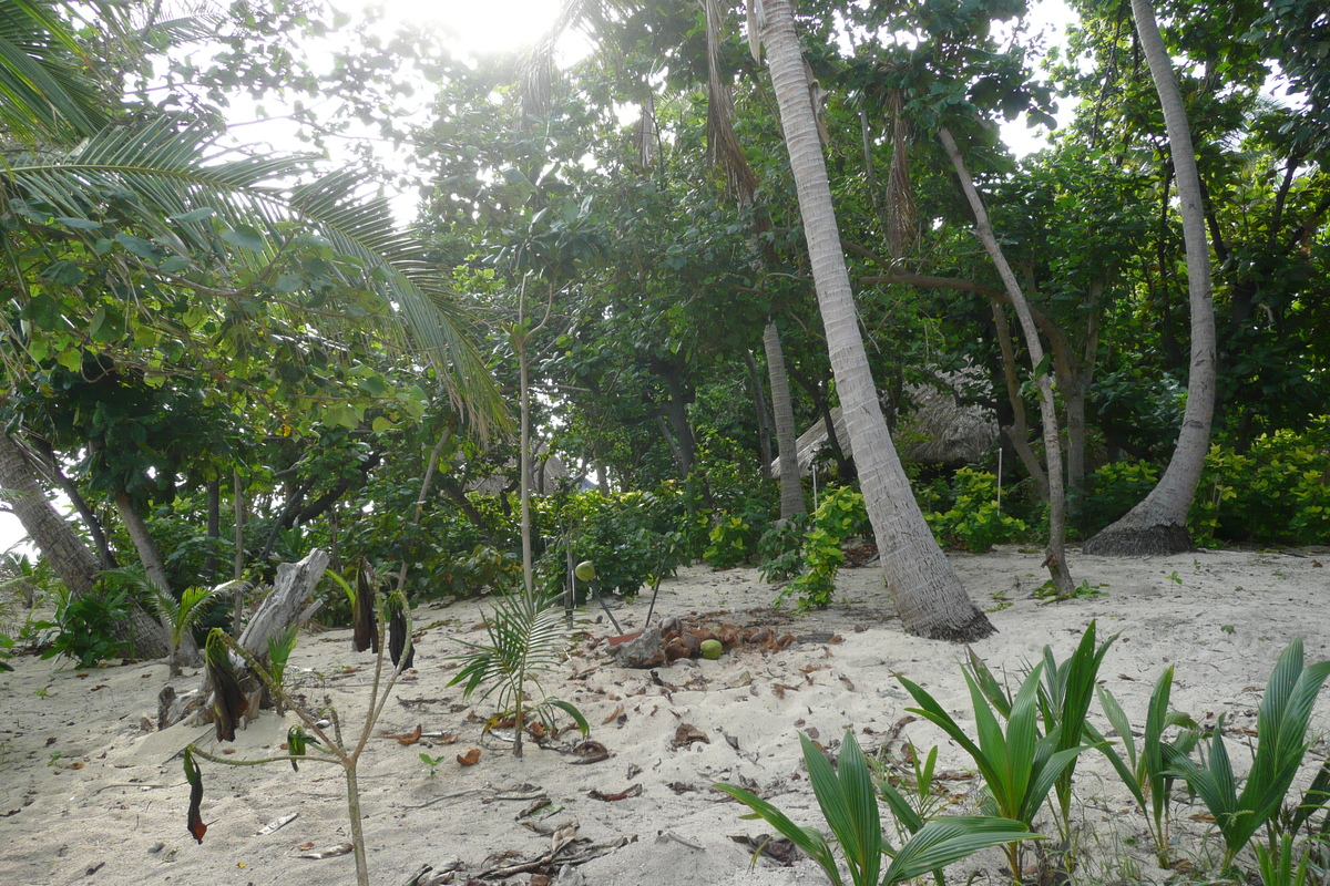 照片 斐济(Fiji) 海滩寻宝者岛(Beachcomber Island) 2010-05 24