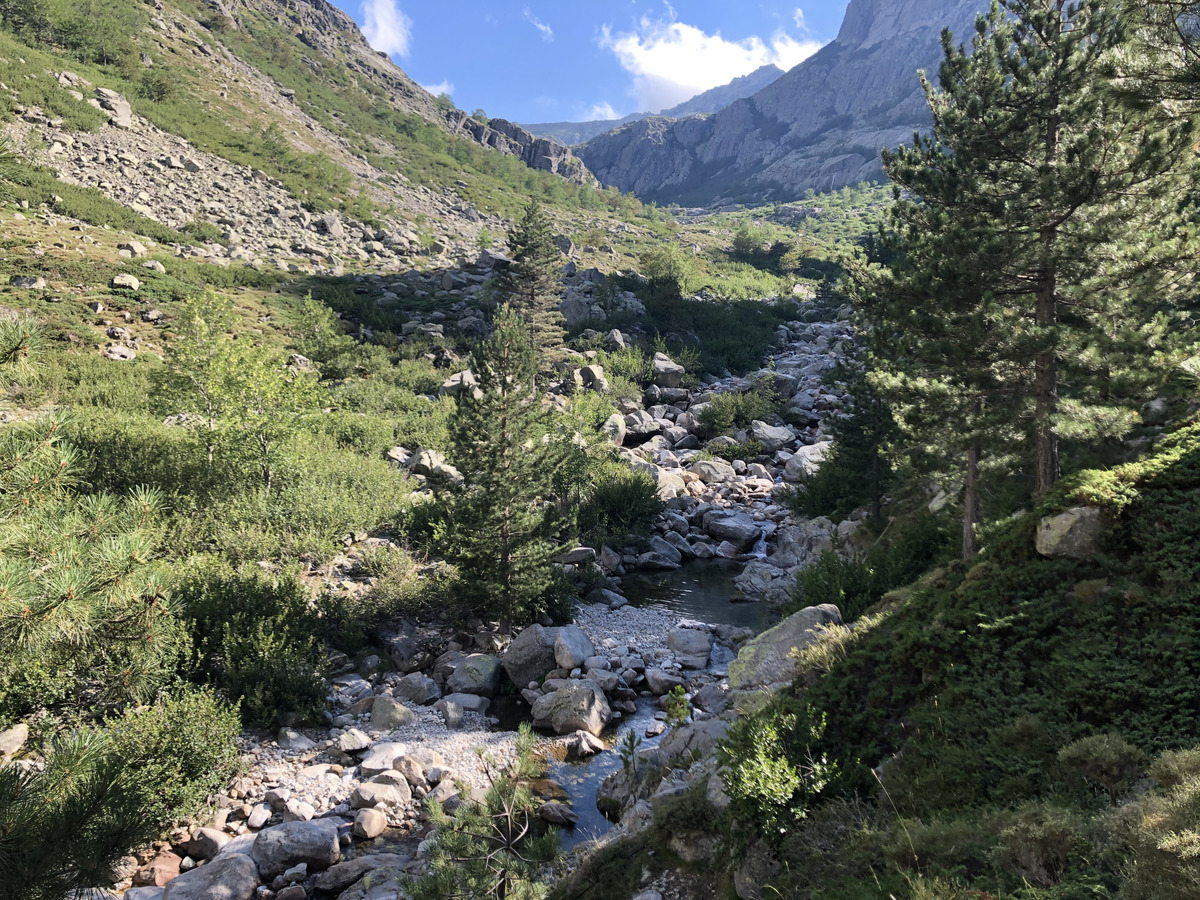 照片 法国(France) 科西嘉岛(Corsica) 雷斯托尼卡山谷(La Restonica) 2020-07 96