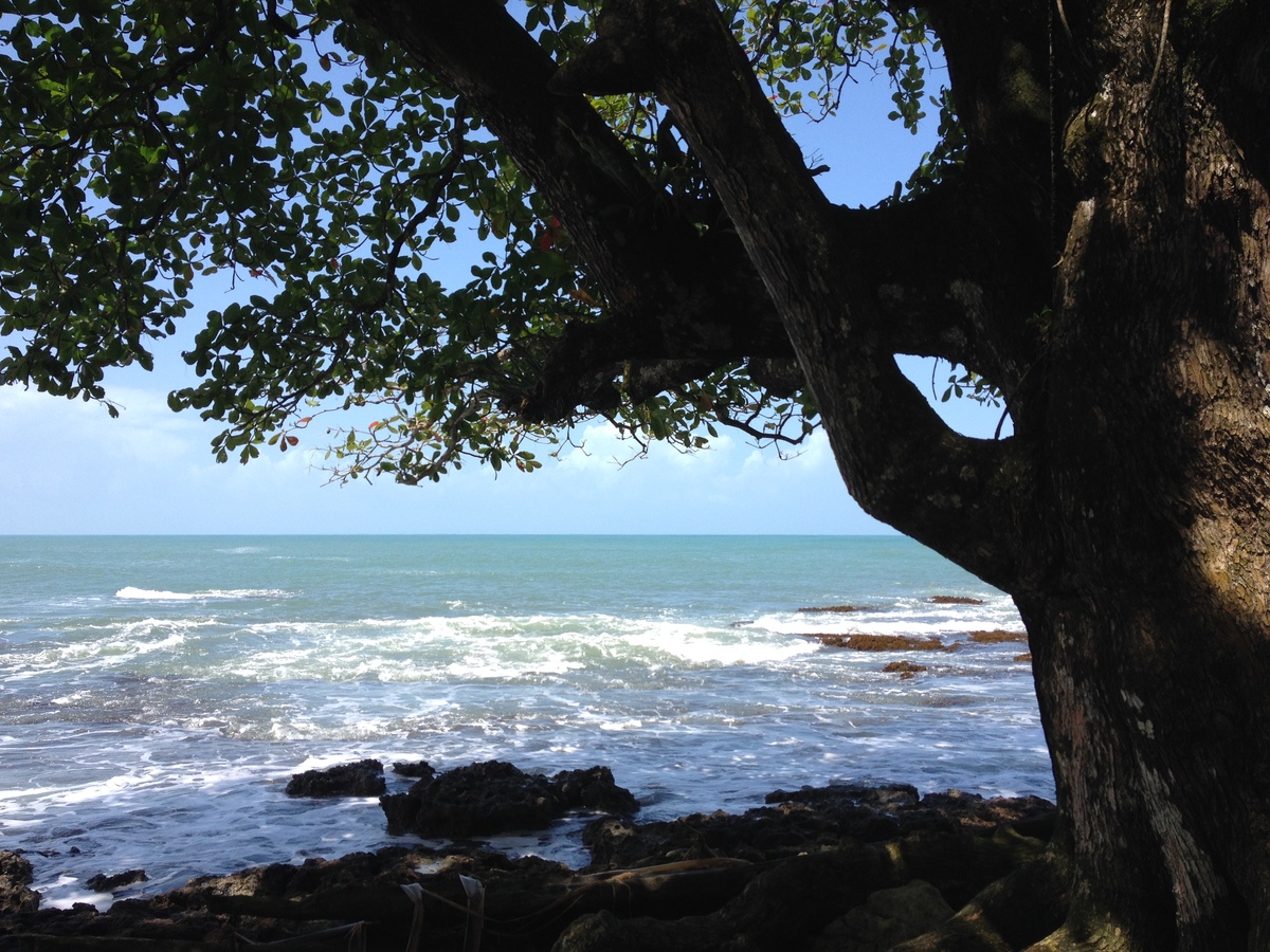 照片 哥斯达黎加(Costa Rica) 卡维塔(Cahuita) 2015-03 15