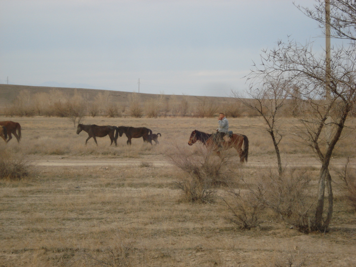 照片 哈萨克斯坦(Kazakhstan) 阿拉木图至恰伦峡谷公路(Almaty to Charyn Canyon road) 2007-03 81