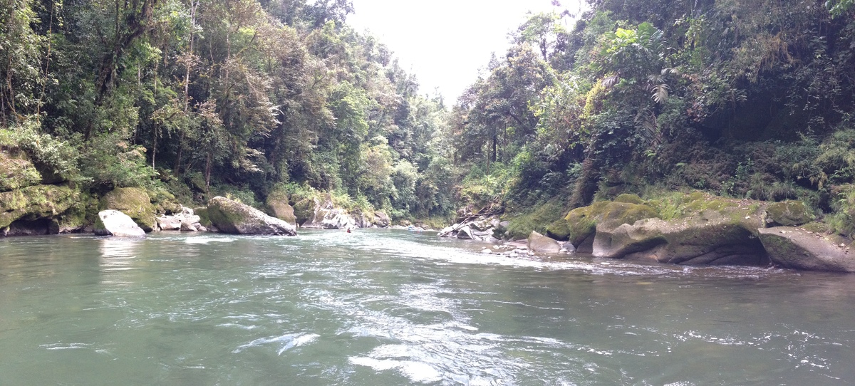 照片 哥斯达黎加(Costa Rica) 帕夸雷河(Pacuare River) 2015-03 165