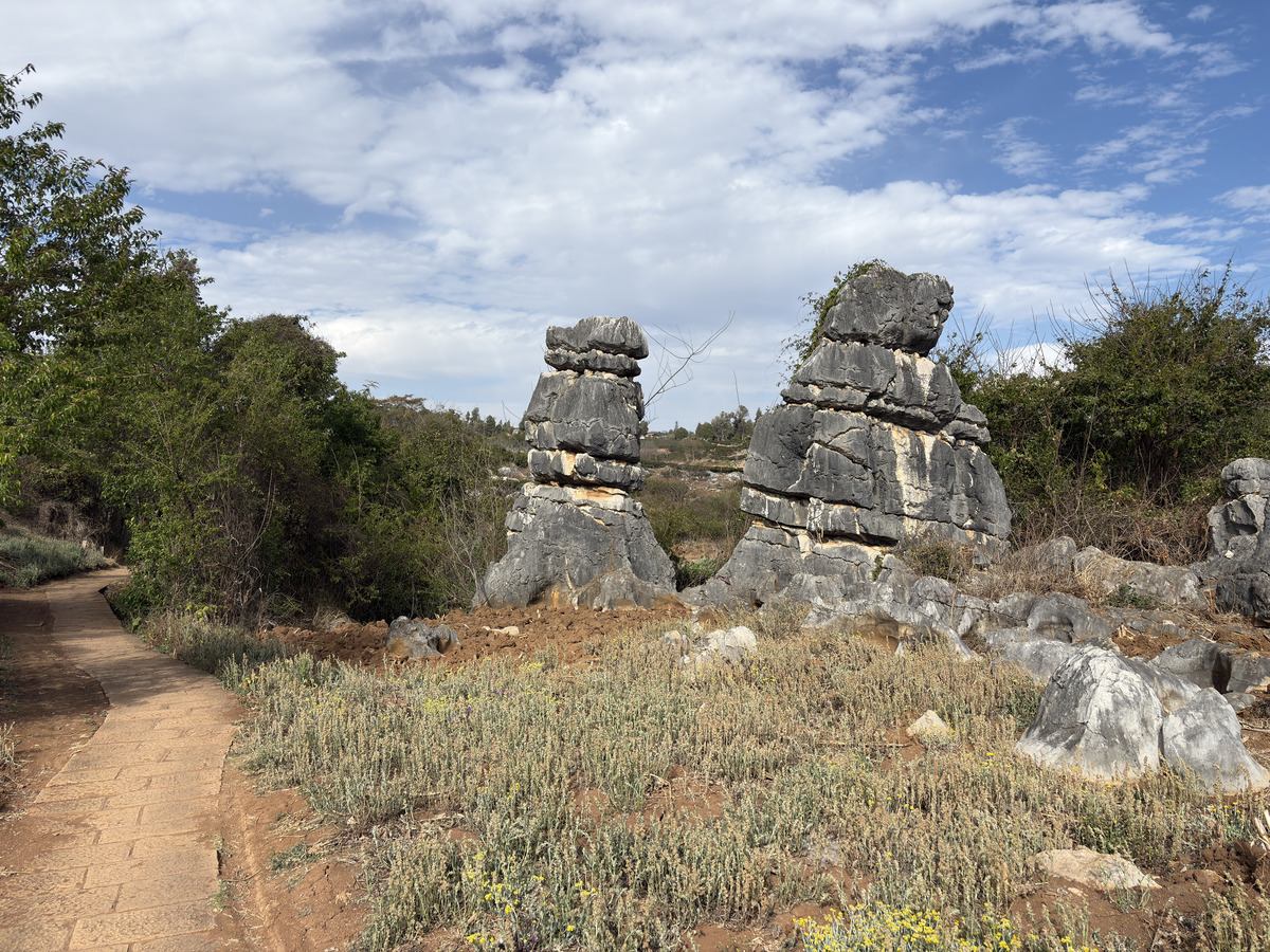 照片 中国(China) 石林(Shilin Stone Forest) 2026-01 220