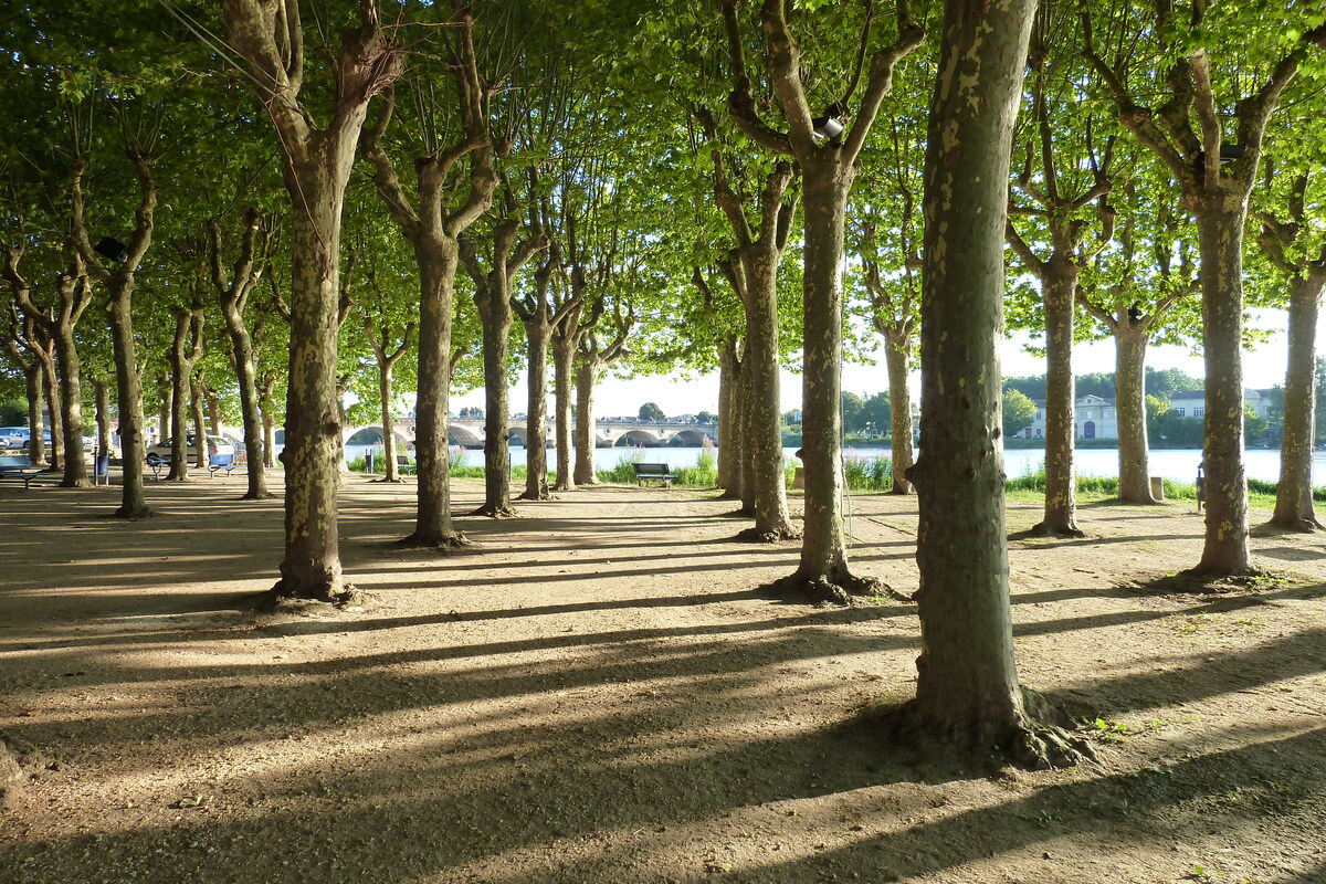 照片 法国(France) 利布尔讷(Libourne) 2010-08 15