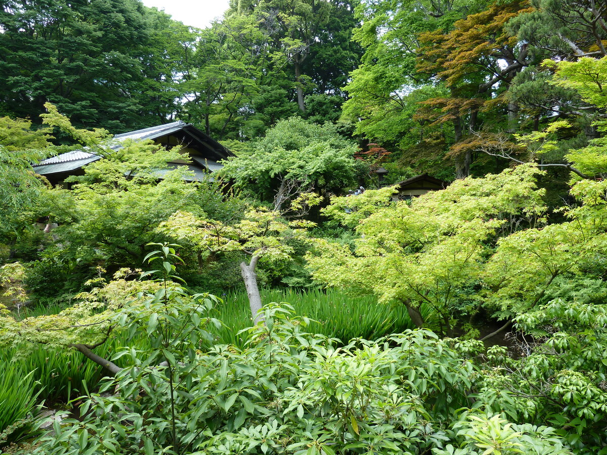 照片 日本(Japan) 东京(Tokyo) 根津美术馆(Nezu Museum) 2010-06 52