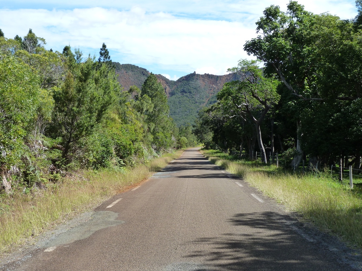 照片 新喀里多尼亚(New Caledonia) 蒂奥至卡纳拉公路(Thio to Canala road) 2010-05 36