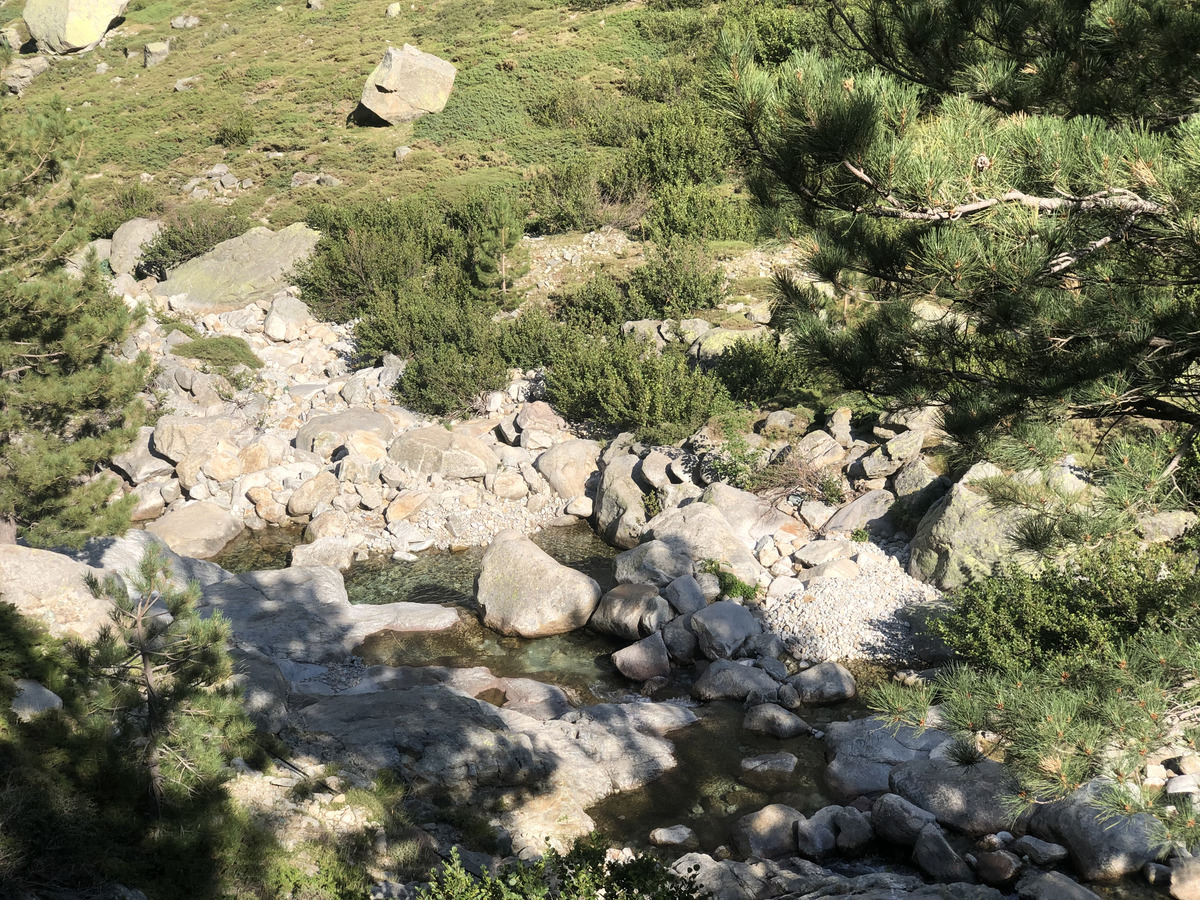 照片 法国(France) 科西嘉岛(Corsica) 雷斯托尼卡山谷(La Restonica) 2020-07 70