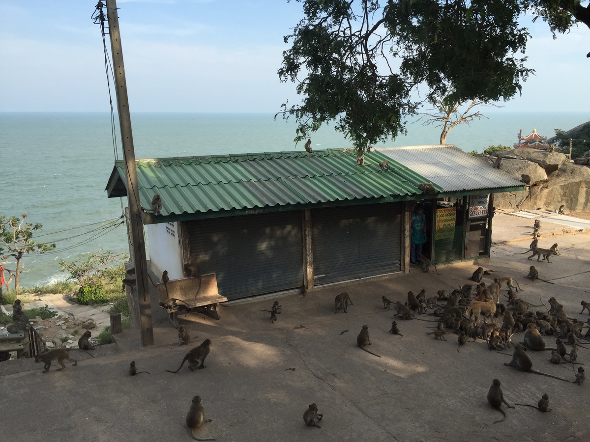 照片 泰国(Thailand) 华欣(Hua hin) 2016-01 12