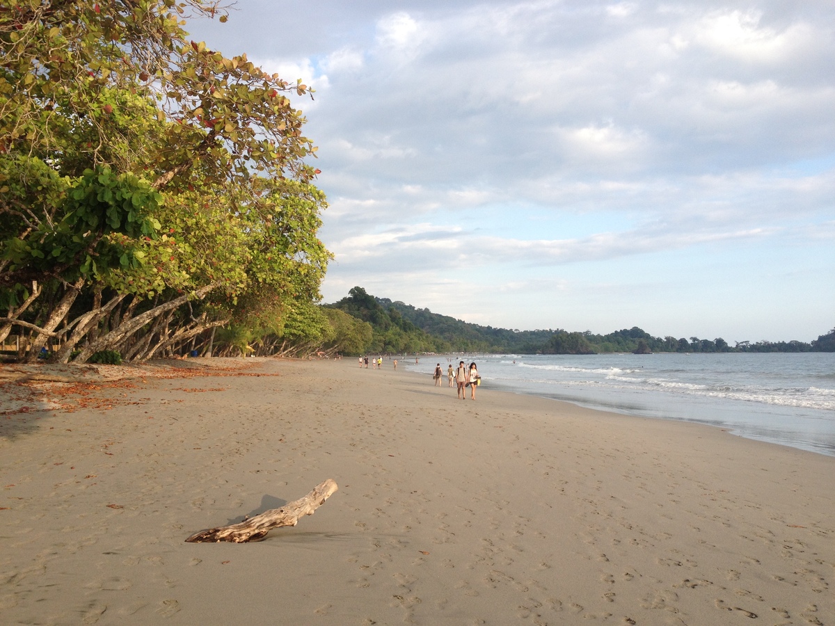 照片 哥斯达黎加(Costa Rica) 曼努埃尔安东尼奥(Manuel Antonio) 2015-03 503