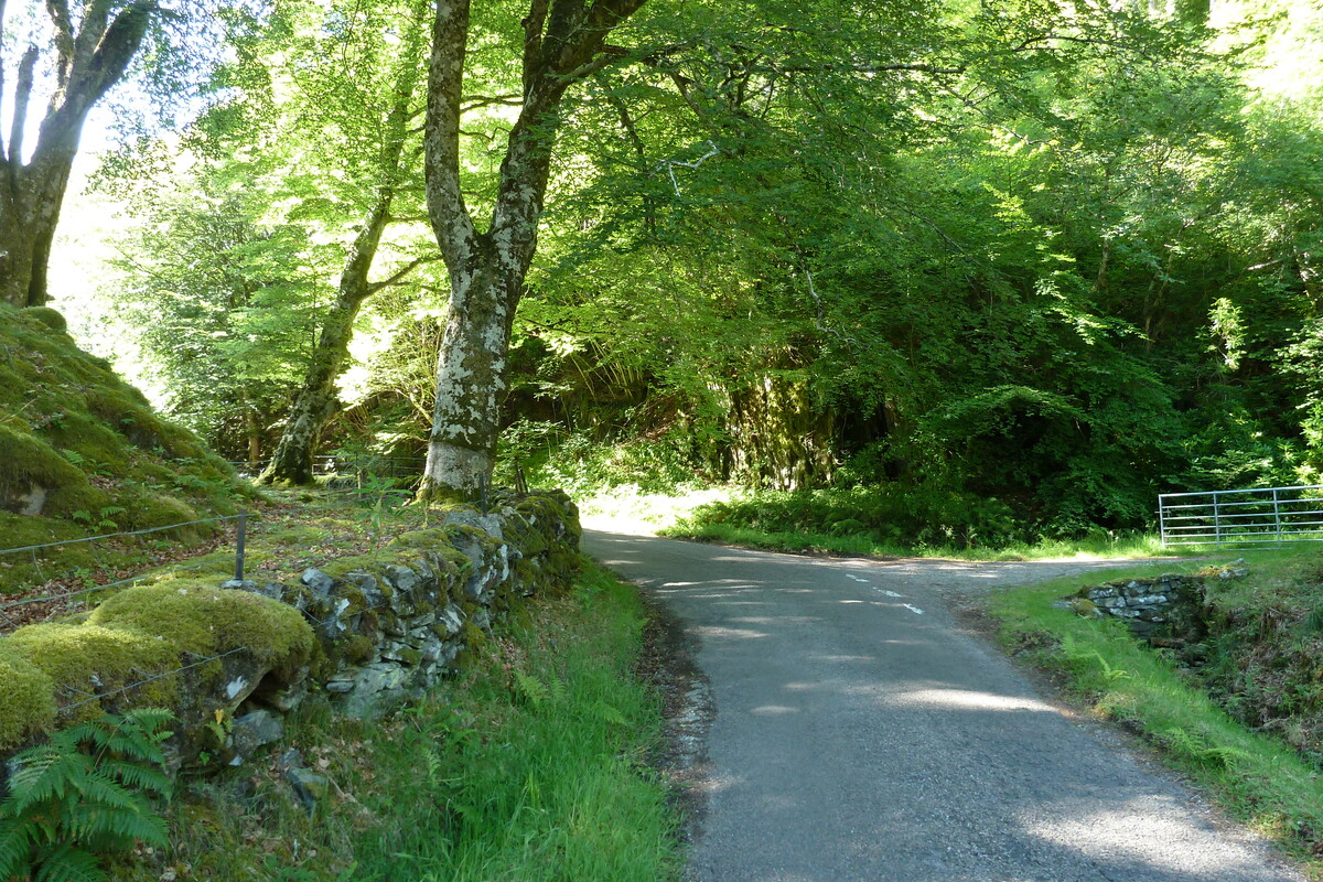 照片 英国(United Kingdom) 苏格兰(Scotland) 萨伦(Salen) 2011-07 70
