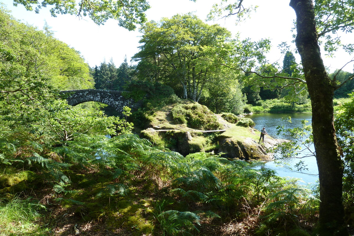照片 英国(United Kingdom) 苏格兰(Scotland) 萨伦(Salen) 2011-07 77